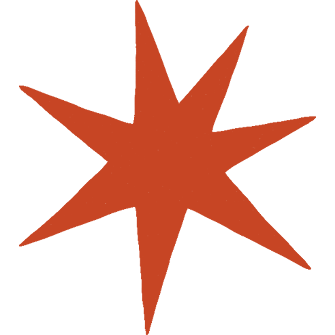 BeyondSnap Star Logo